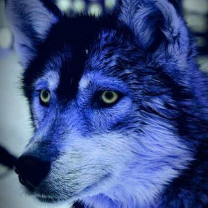 Meet your Posher, Gilberto